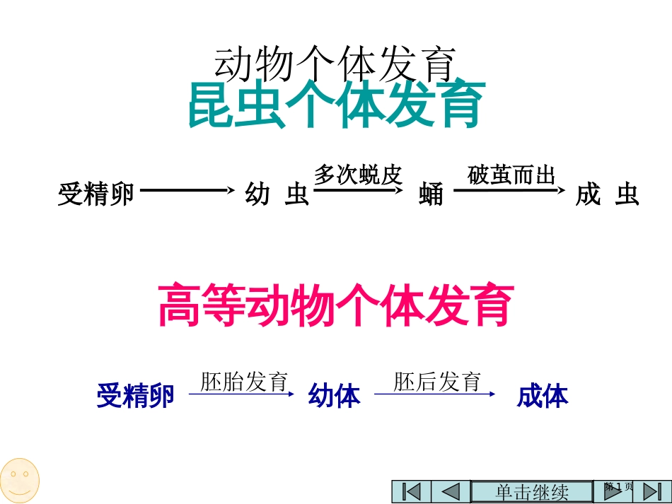 高二生物昆虫的个体发育公开课一等奖优质课大赛微课获奖课件_第1页