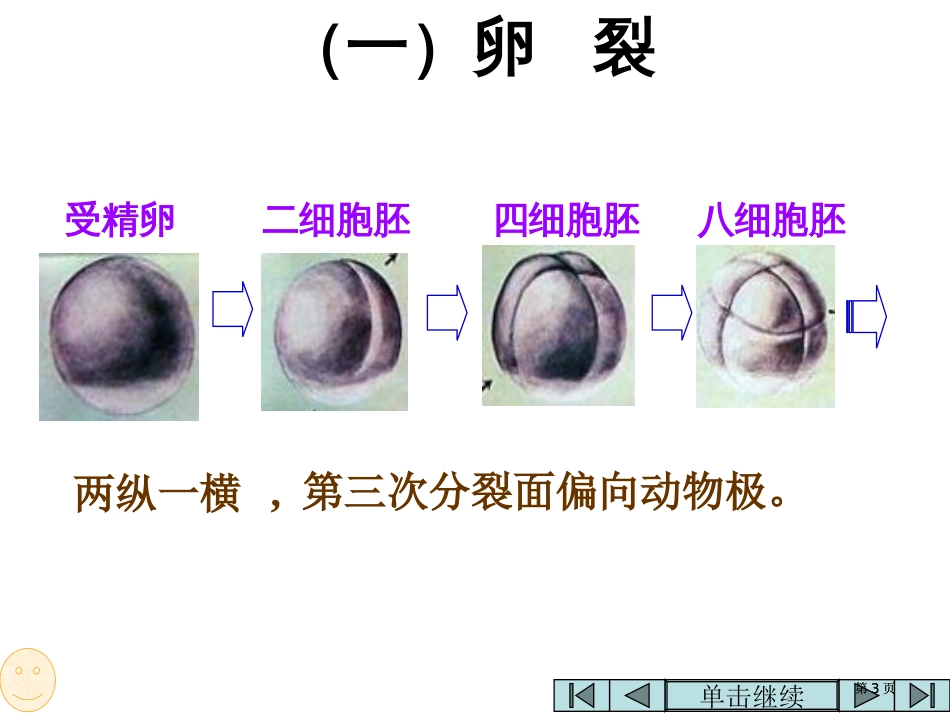 高二生物昆虫的个体发育公开课一等奖优质课大赛微课获奖课件_第3页