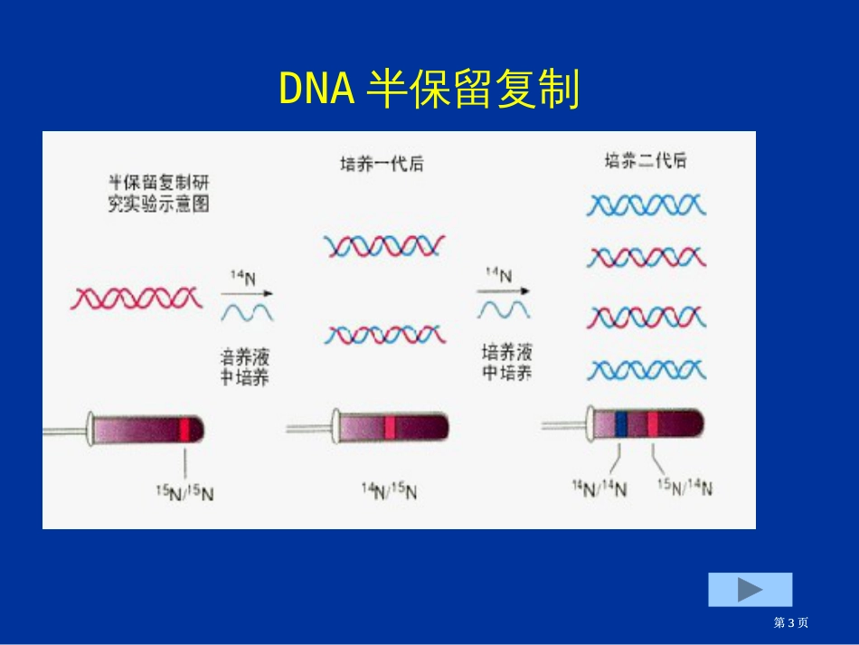 组成生物体的大小分子公开课一等奖优质课大赛微课获奖课件_第3页