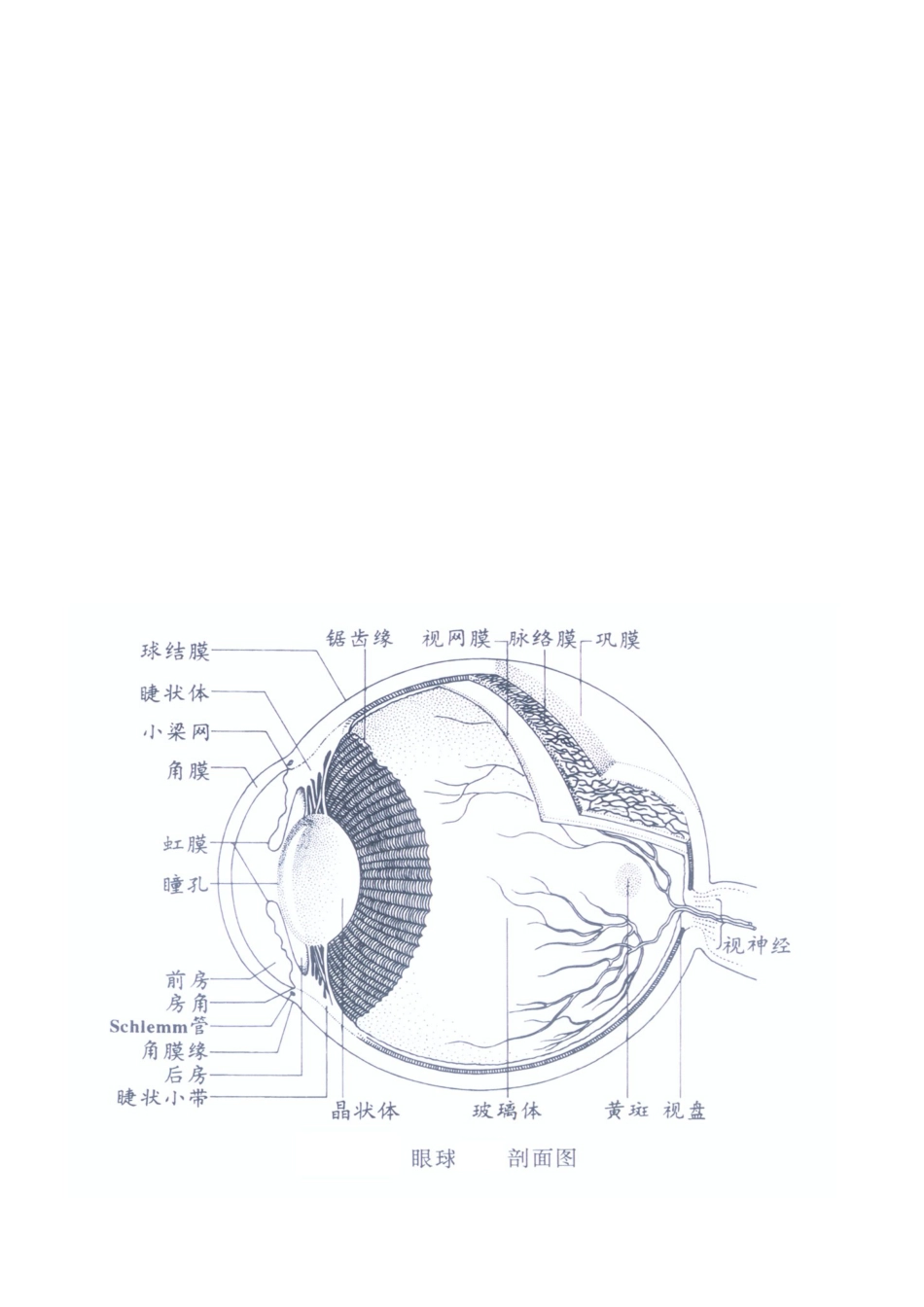好视立培训实用手册_第2页