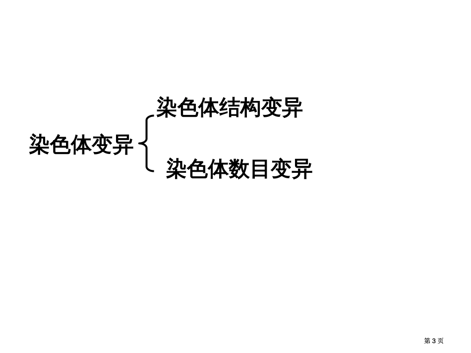 授课班级高二4班授课老师肖杨武市公开课金奖市赛课一等奖课件_第3页