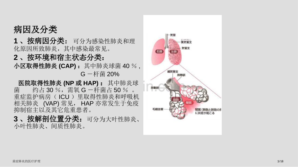 重症肺炎的医疗护理_第3页