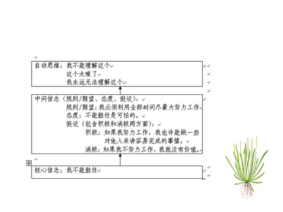 中间信念和核心信念_第2页