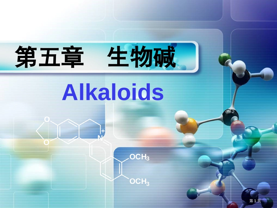 天然产物化学生物碱公开课一等奖优质课大赛微课获奖课件_第1页