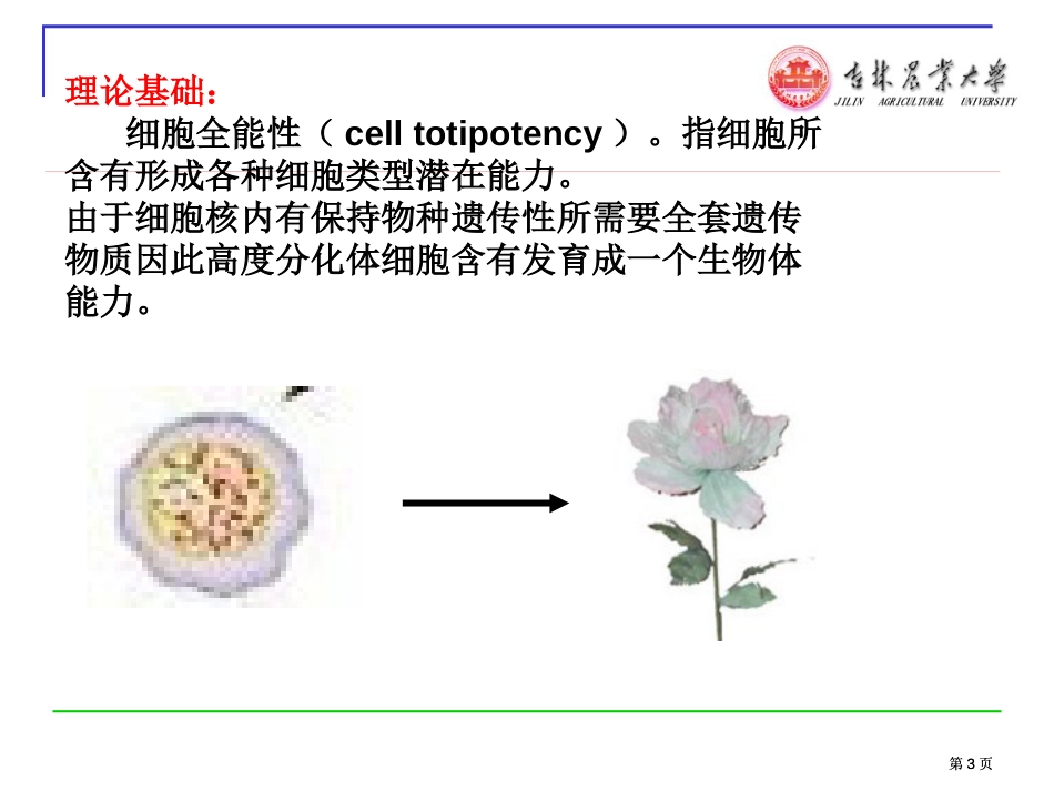 生物技术与作物育种市公开课金奖市赛课一等奖课件_第3页