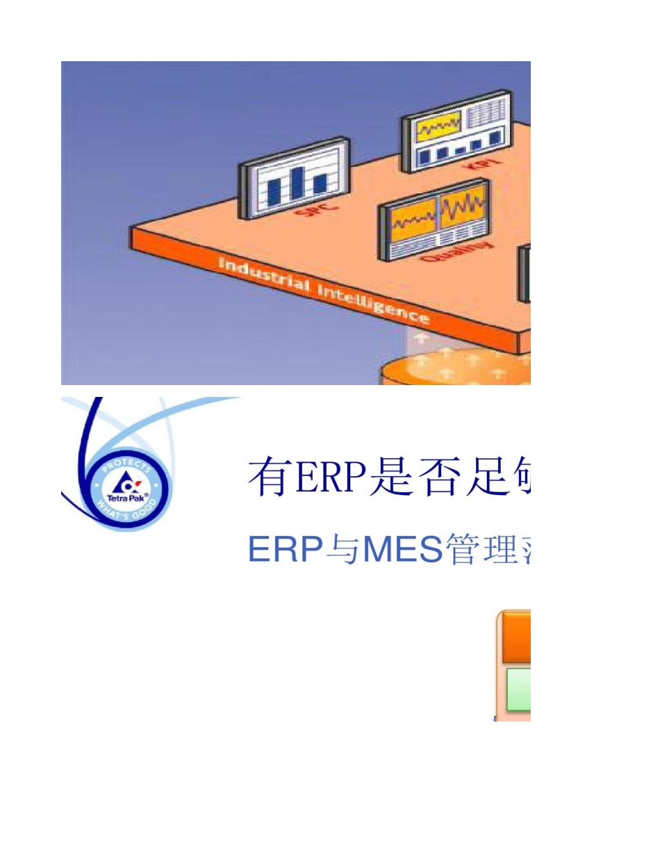 品牌系统工业背景下乳制品行业解决方案_第2页