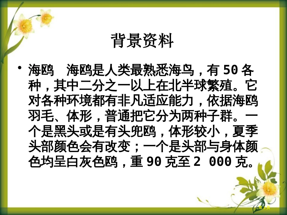 老人与海鸥3市公开课金奖市赛课一等奖课件_第3页