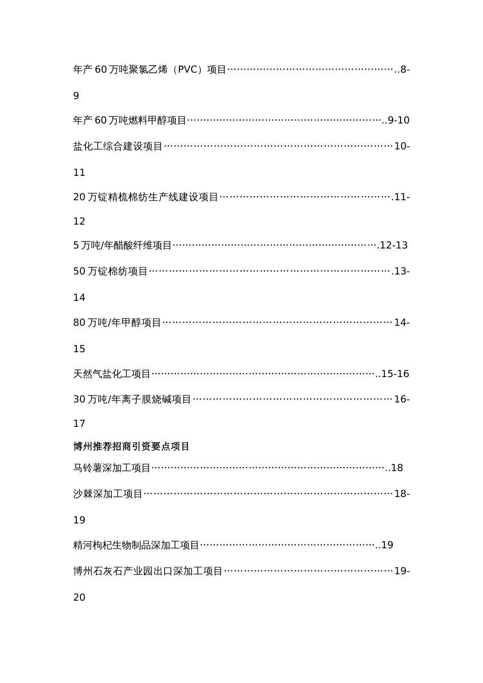 乌鲁木齐市推荐招商引资项目策划方案_第2页