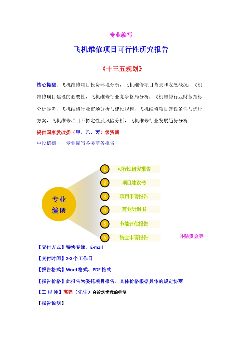 飞机维修项目可行性研究报告_第1页