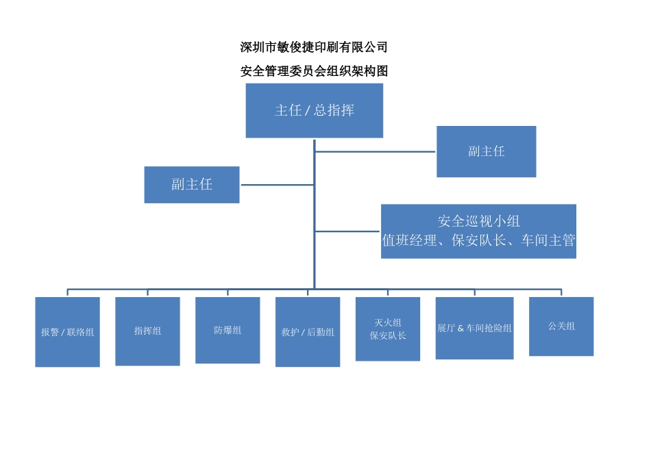 安全委员会组织架构图_第1页
