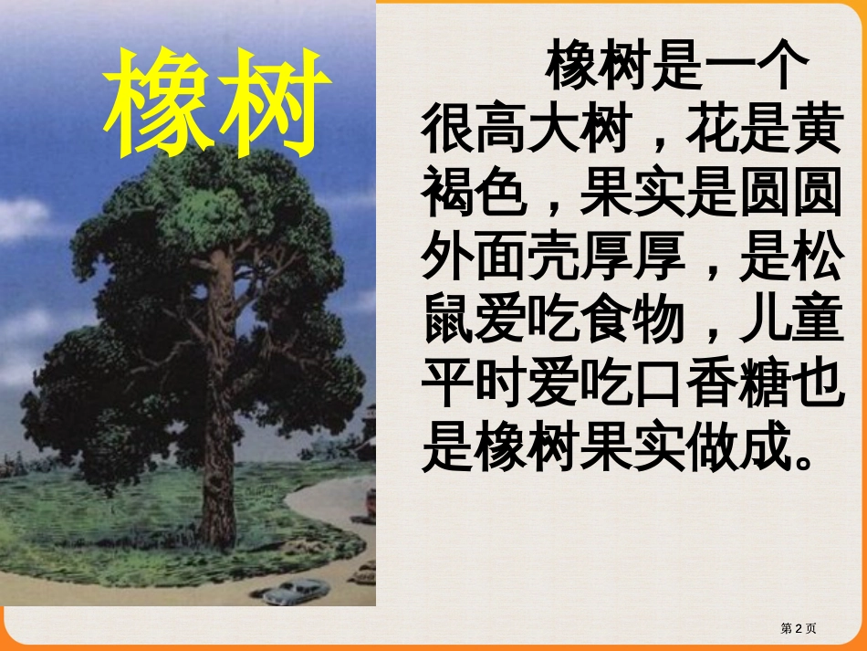 橡树是一种很高大的树花是黄褐色的果实是圆圆的外市公开课金奖市赛课一等奖课件_第2页