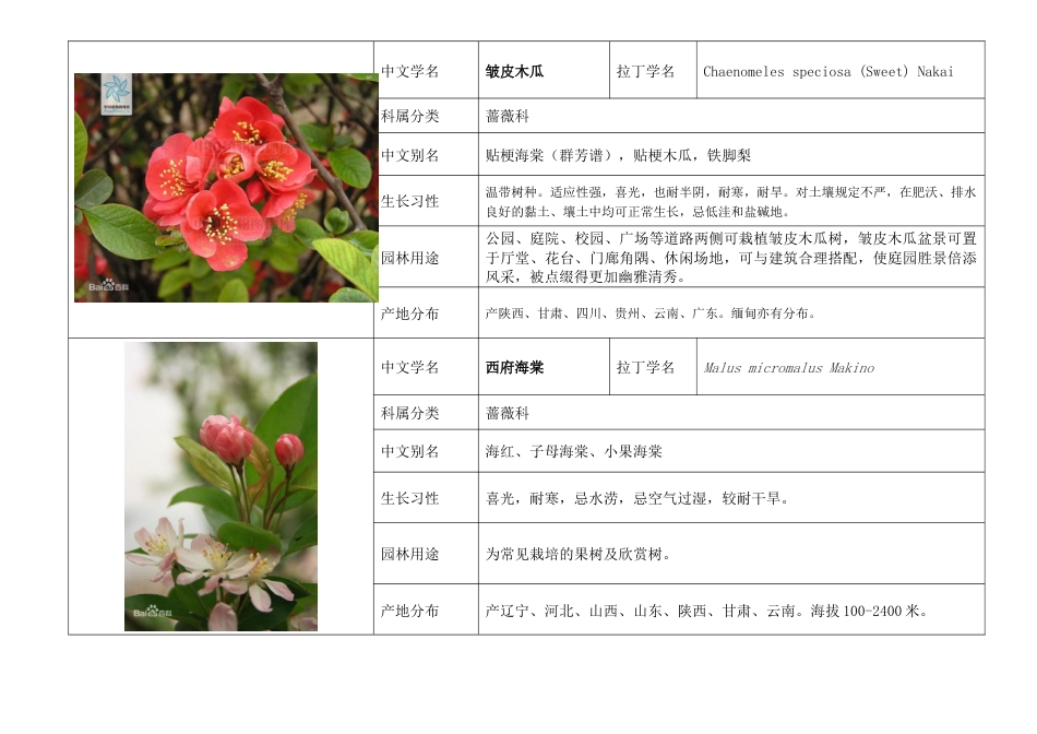 表格四川地区常用园林苗木花乔_第2页