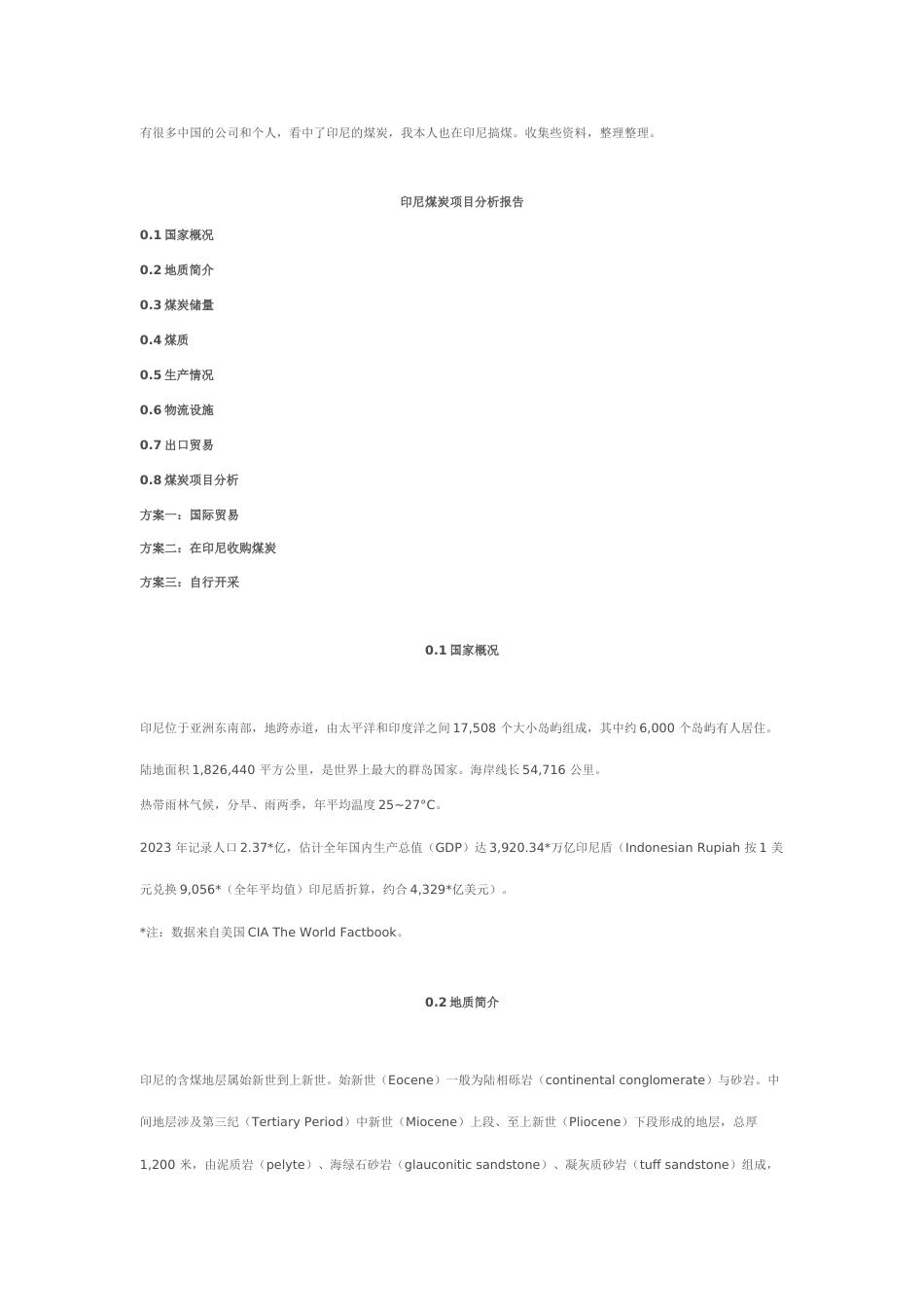印尼煤炭项目分析报告_第1页