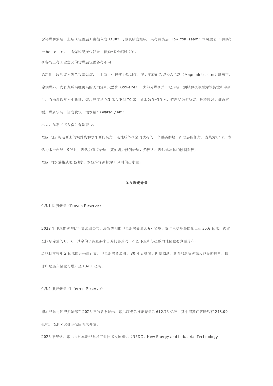 印尼煤炭项目分析报告_第2页