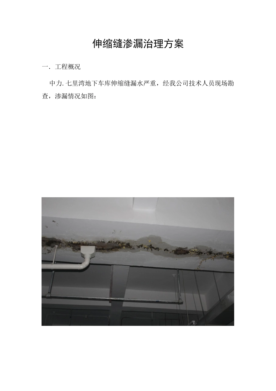 伸缩缝渗漏治理方案_第1页