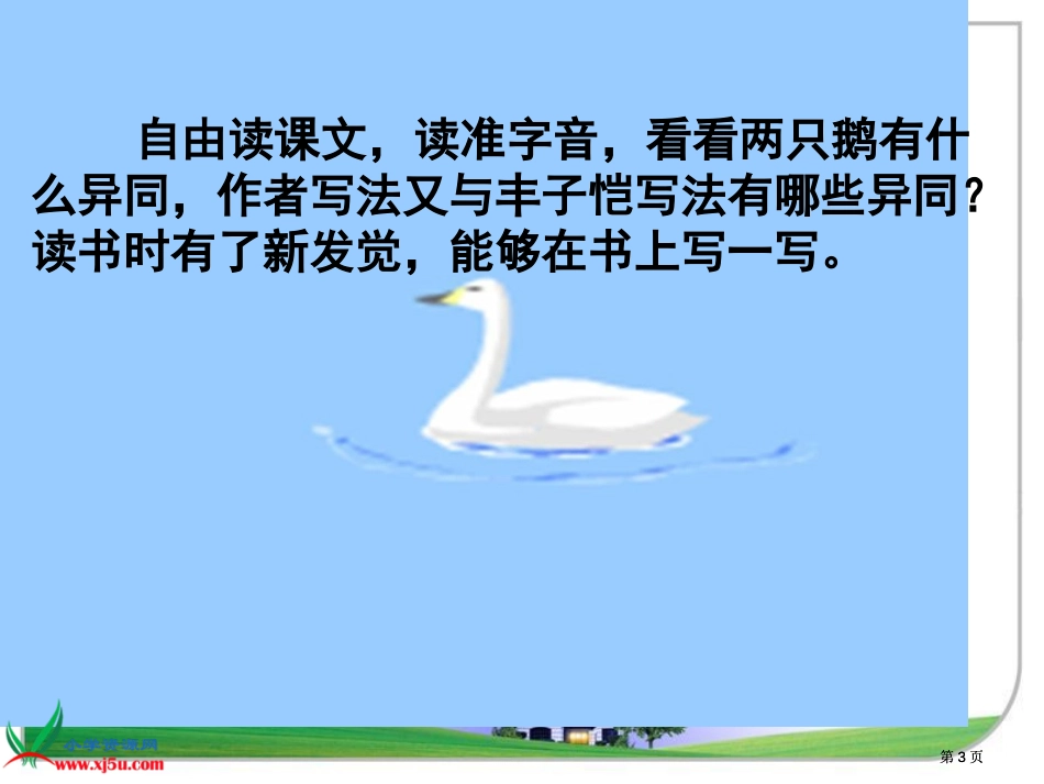 鲁教版语文三年级下册白公鹅课件1市公开课金奖市赛课一等奖课件_第3页