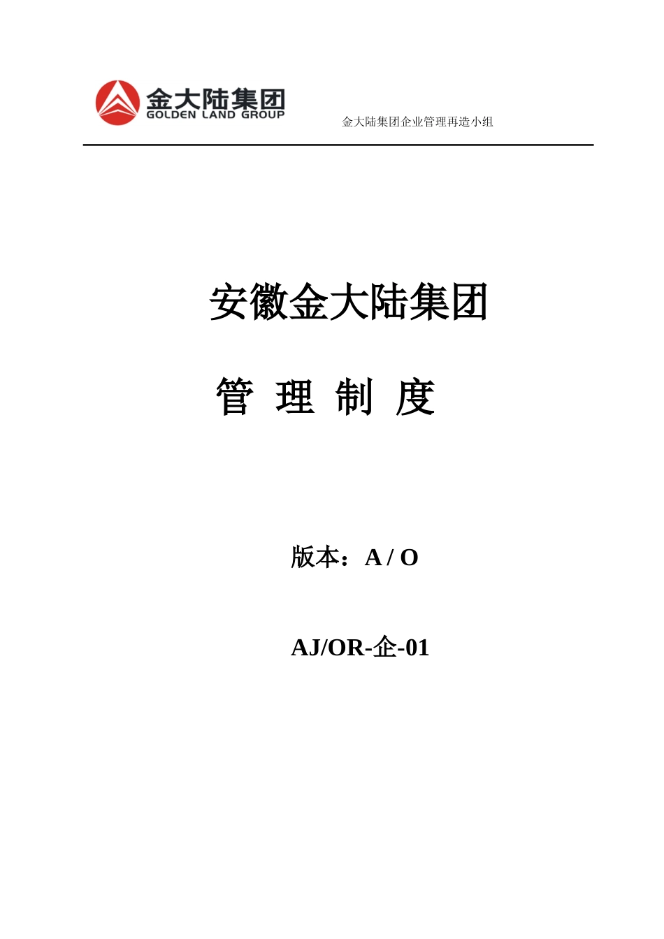 金大陆集团管理制度规程_第1页