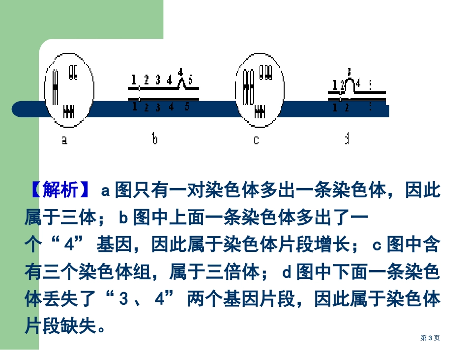 生物高考题分类汇编必修专题染色体变异公开课一等奖优质课大赛微课获奖课件_第3页