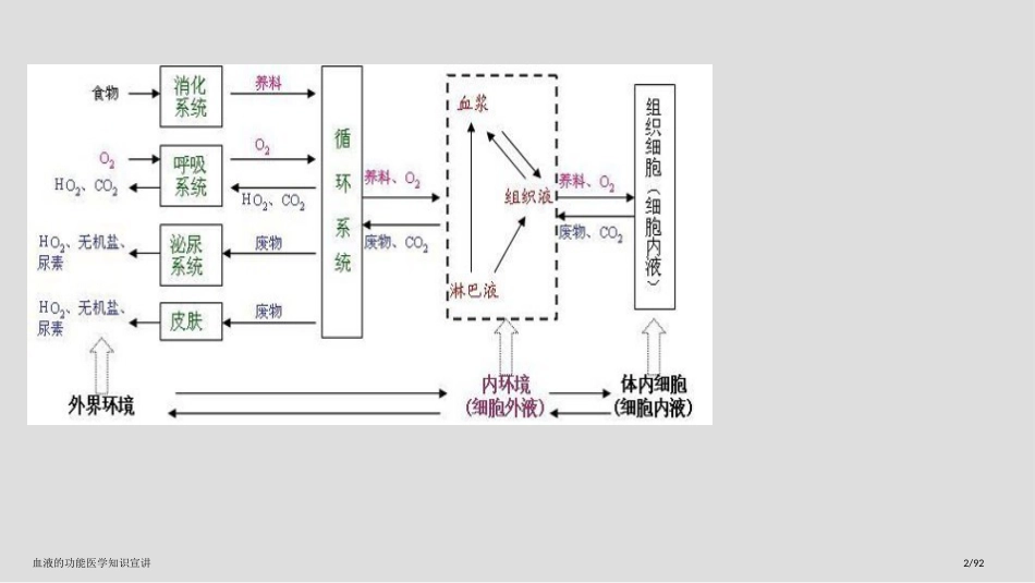 血液的功能医学知识宣讲_第2页