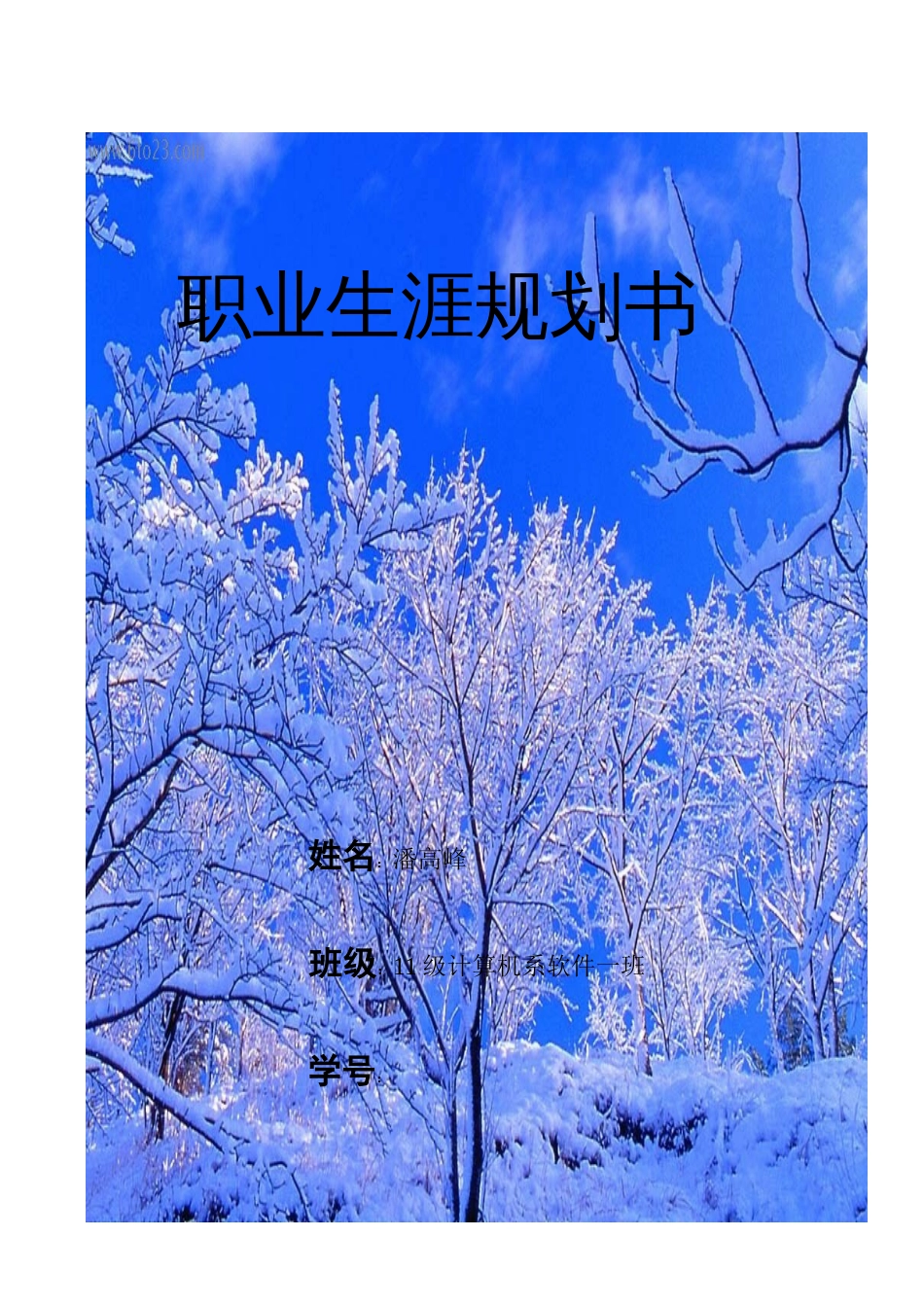 软件专业规划书_第1页