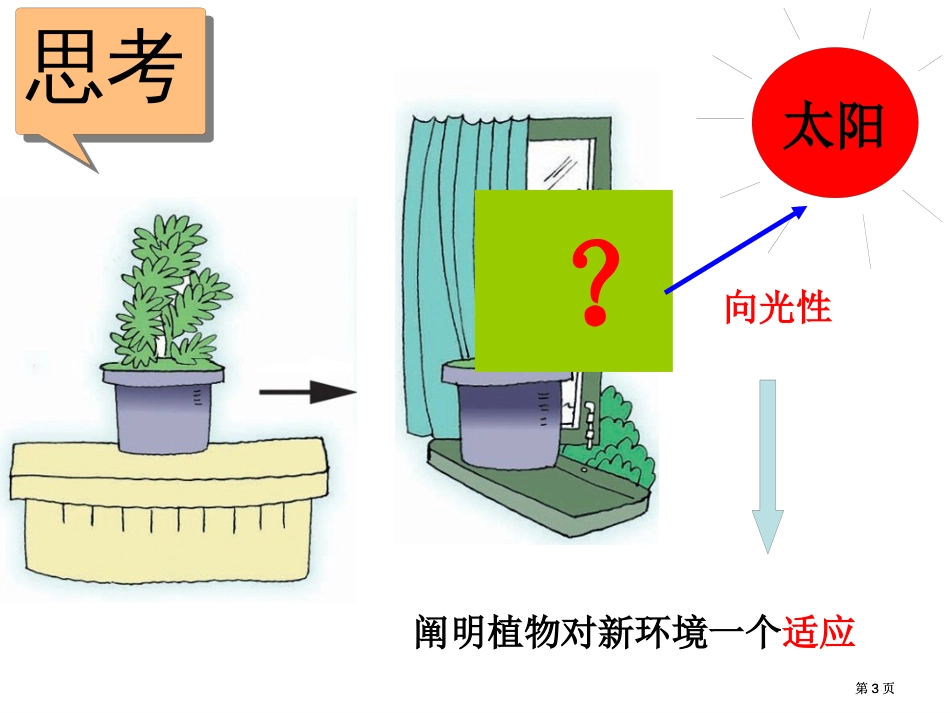 生物的适应性和多样性公开课一等奖优质课大赛微课获奖课件_第3页