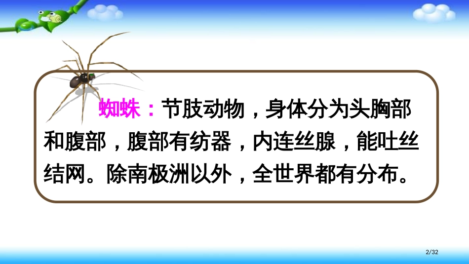 20蜘蛛开店新版市名师优质课赛课一等奖市公开课获奖课件_第2页