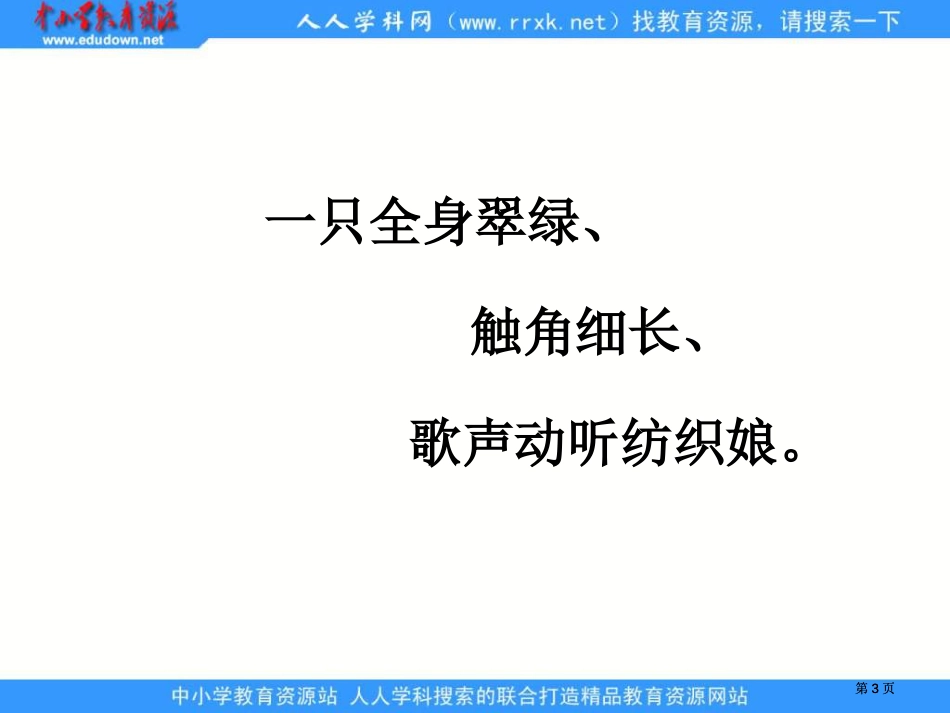 苏教版五年级上册装满昆虫的衣袋课件市公开课金奖市赛课一等奖课件_第3页