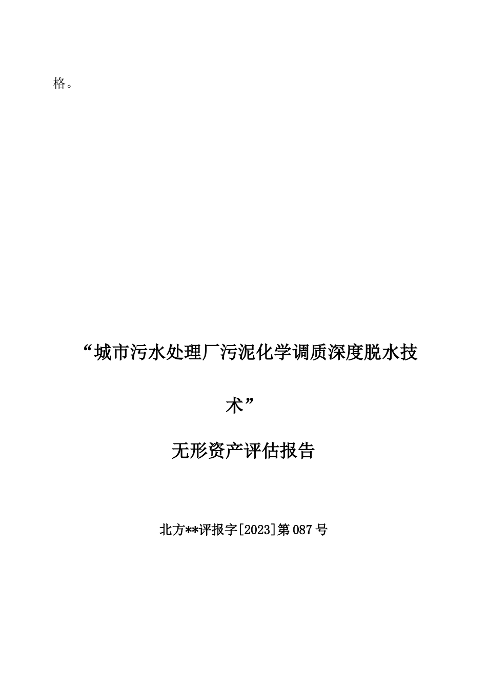 污泥焚烧技术无形资产评估报告_第2页