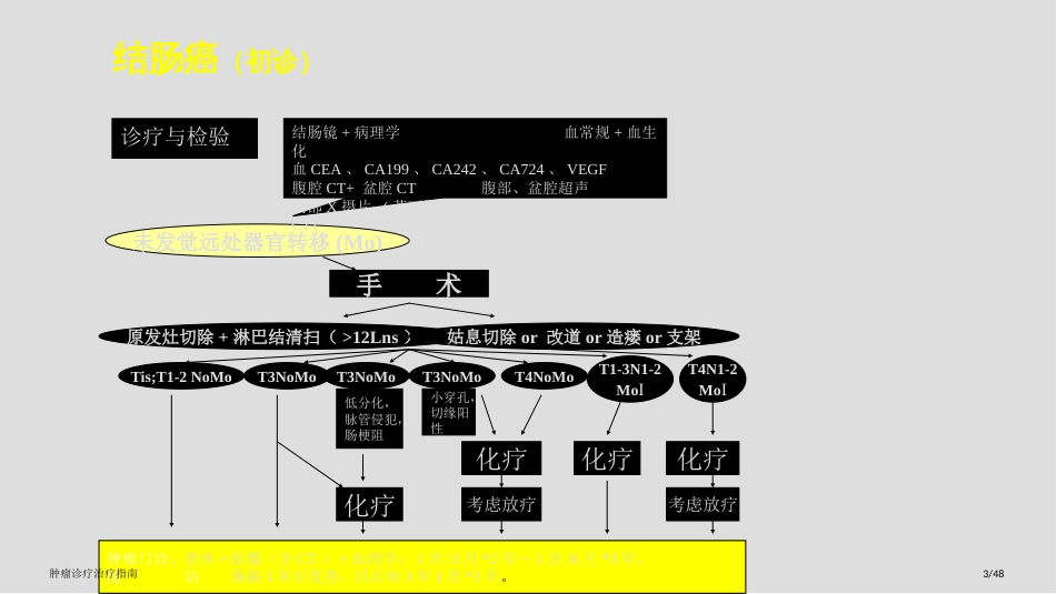 肿瘤诊疗治疗指南_第3页