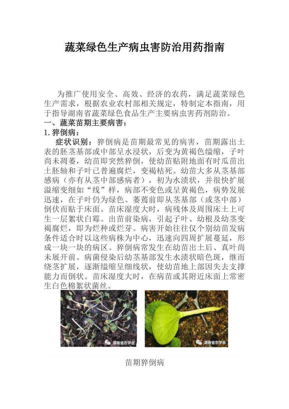 蔬菜绿色生产病虫害防治用药指南_第1页