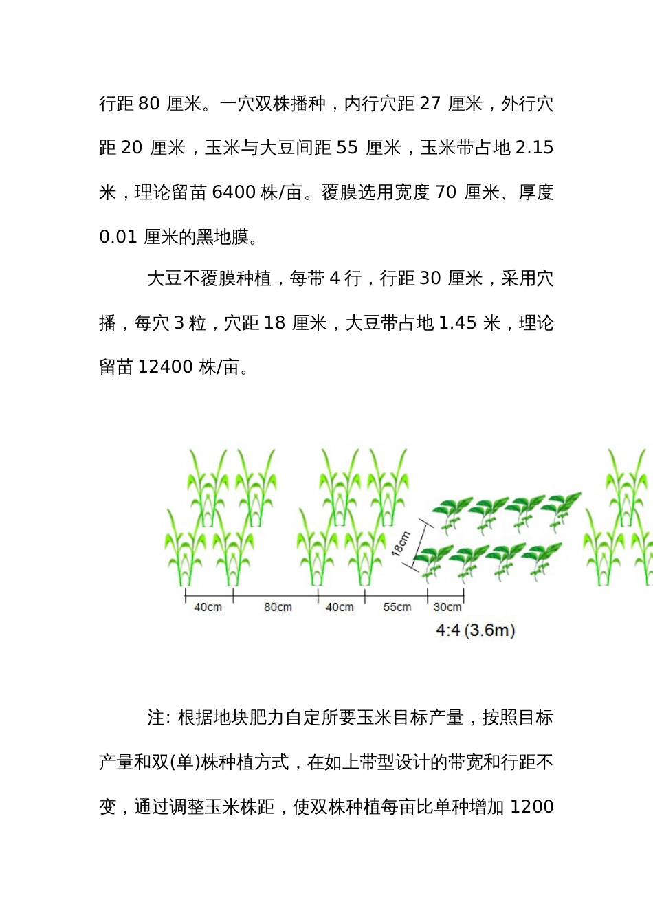 大豆玉米带状复合种植技术要点_第3页