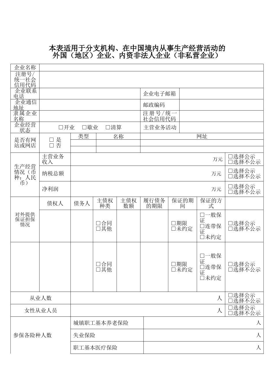 非私营分支机构工商登记年度报告书（模板）_第1页