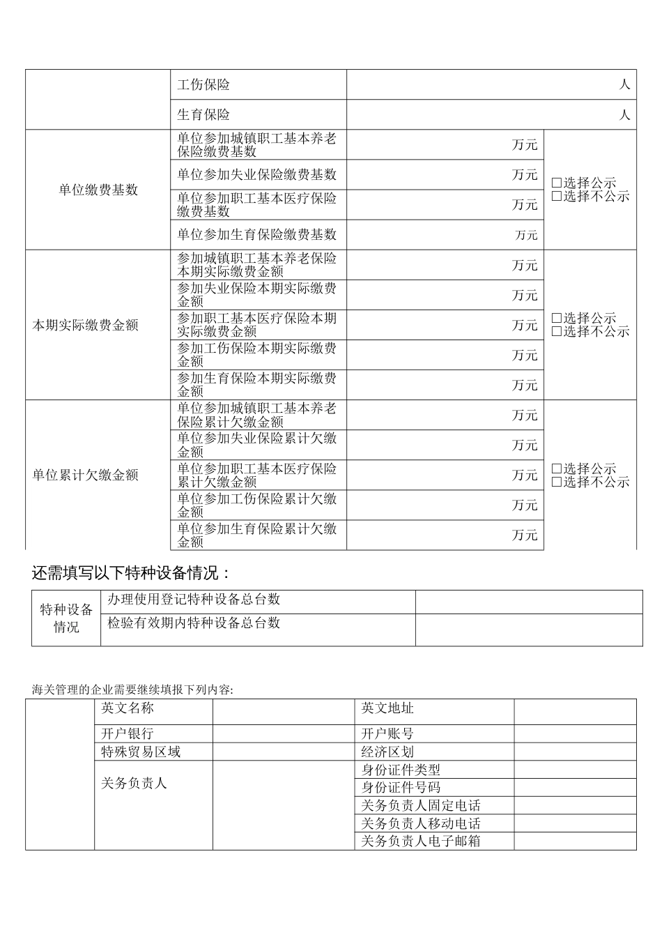 非私营分支机构工商登记年度报告书（模板）_第2页