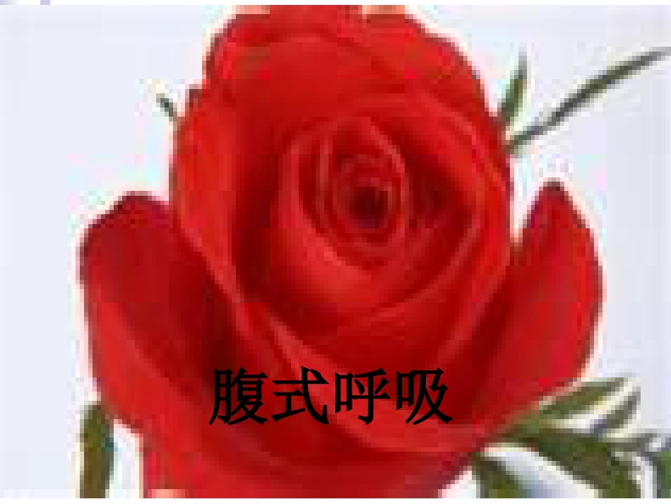 专注力训练课件_第1页
