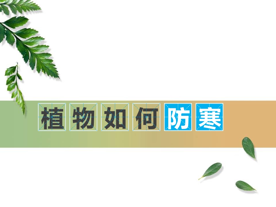 植物如何防寒[25页]_第1页