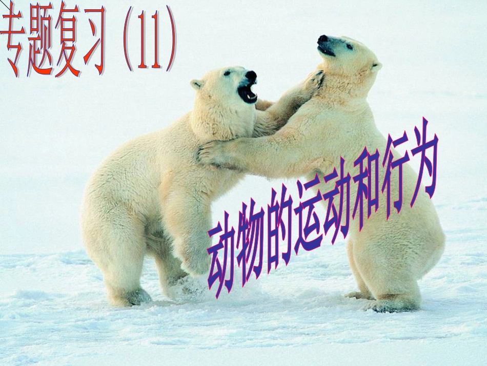 中考生物专题复习《动物的运动和行为》资料_第2页