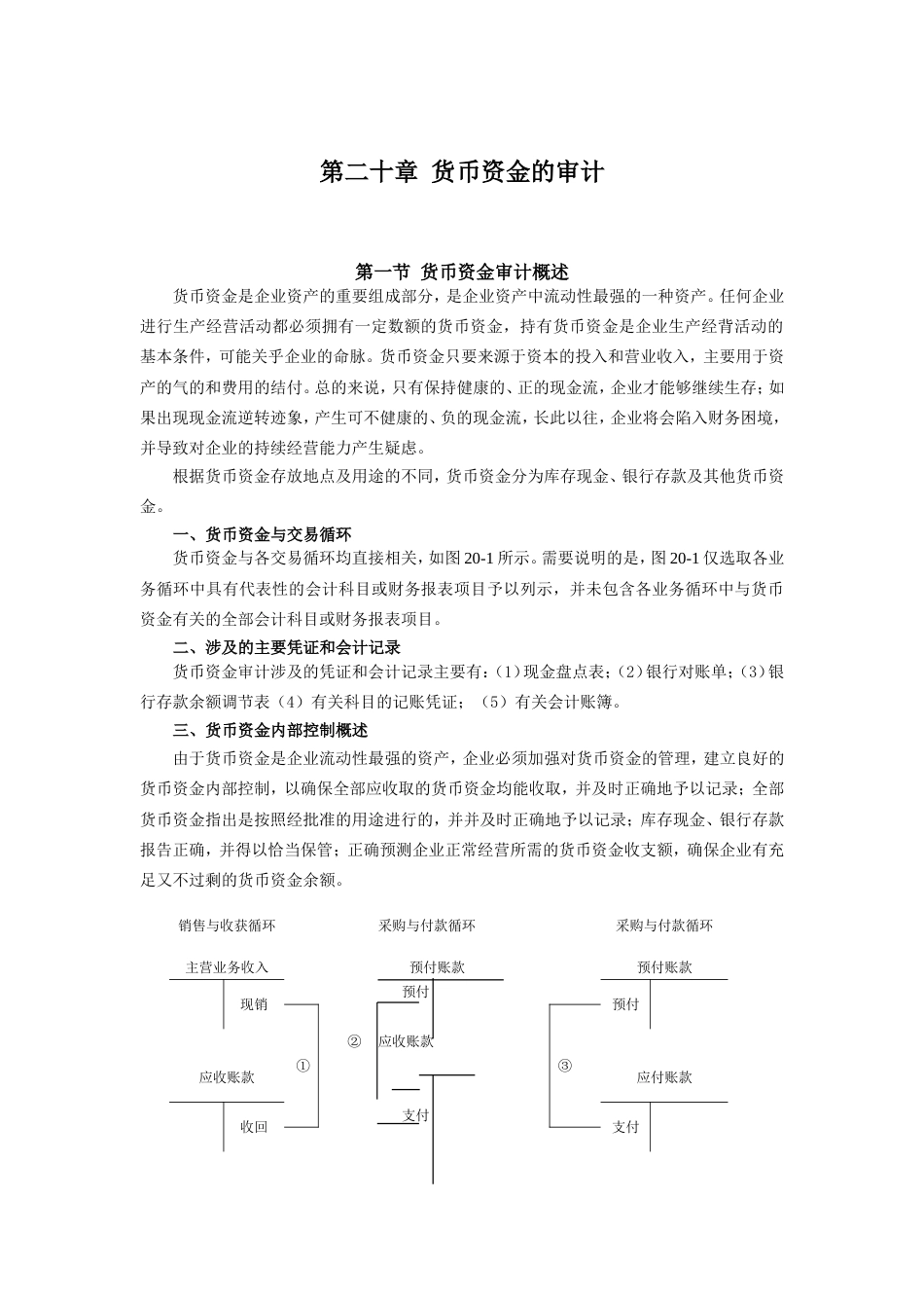 注册会计师考试《审计》教材第二十章_第1页