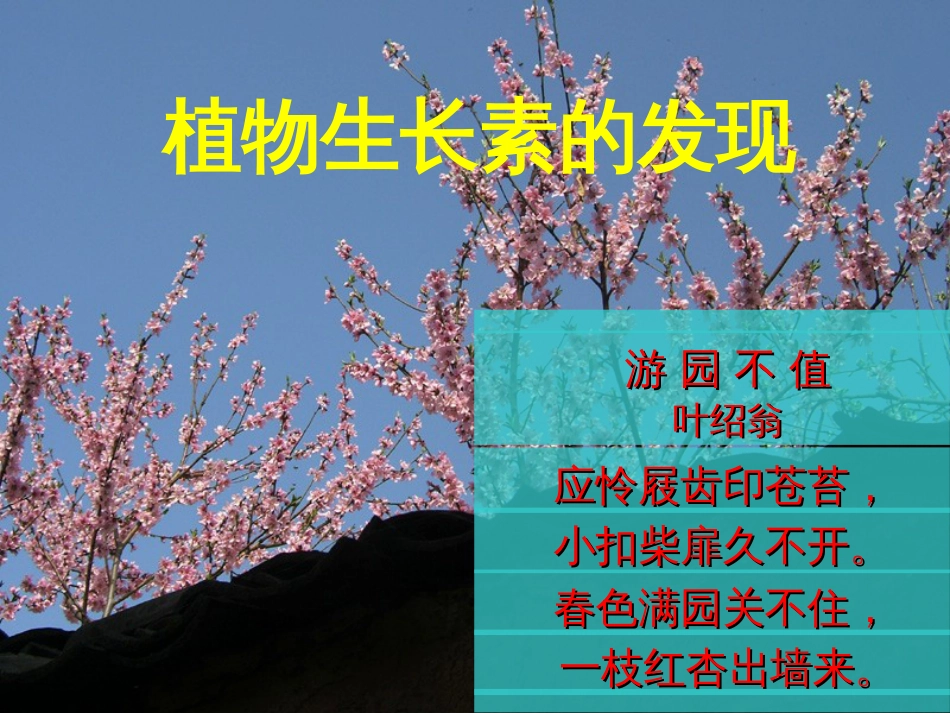 植物生长素的发现[26页]_第1页