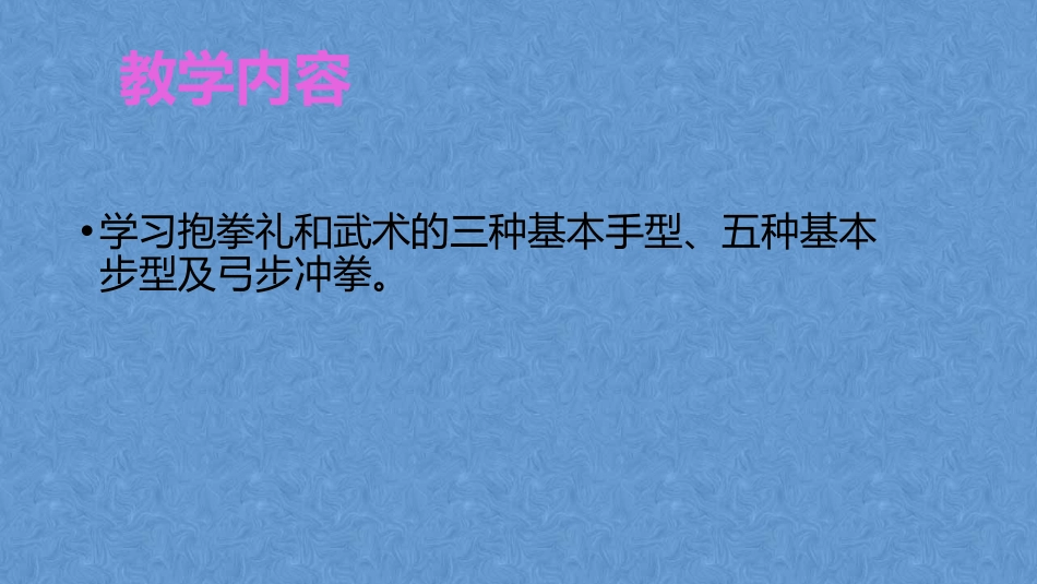 自制武术基本手、步型1课时_第2页