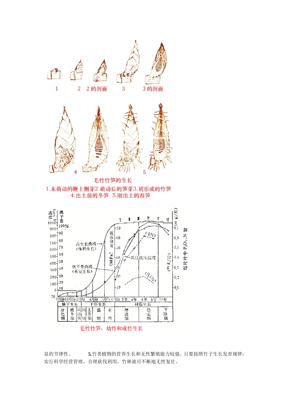 竹子的生长发育[24页]_第2页