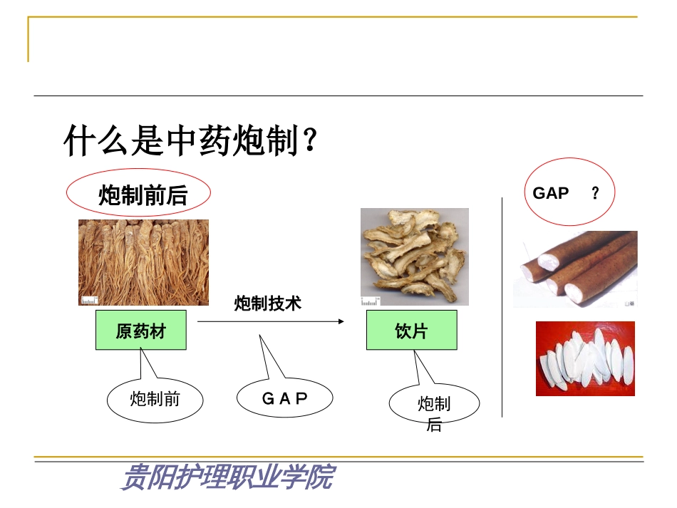 中药炮制技术第15章_第3页