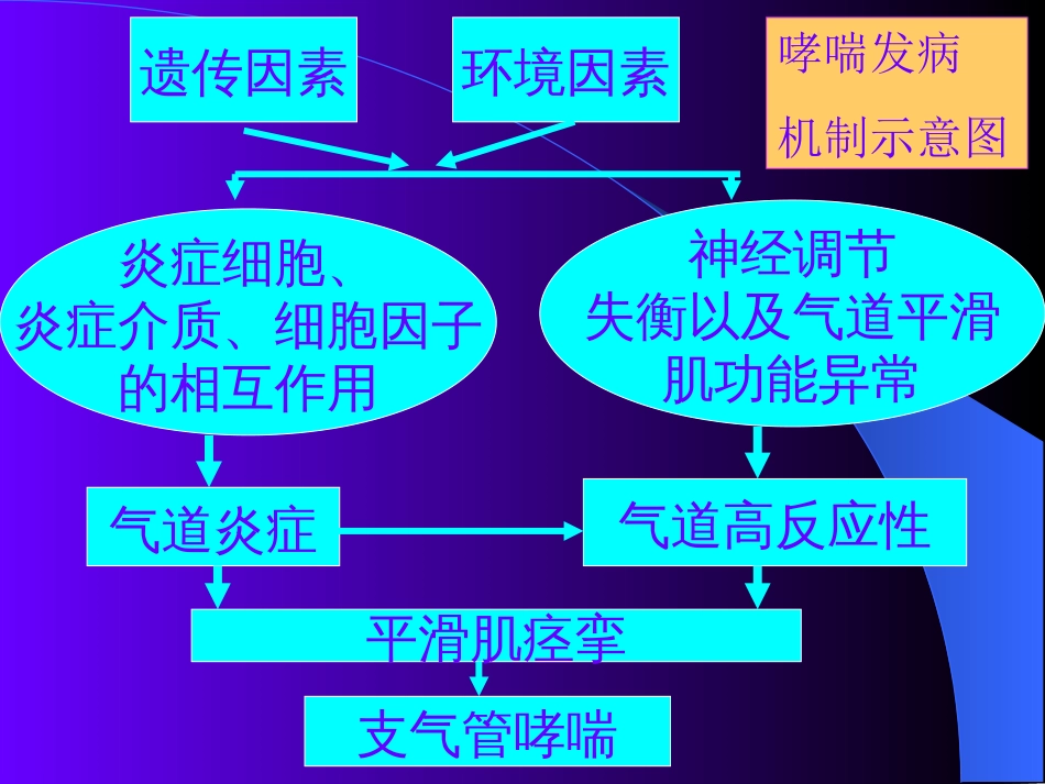 作用于呼吸系统的药物[25页]_第3页