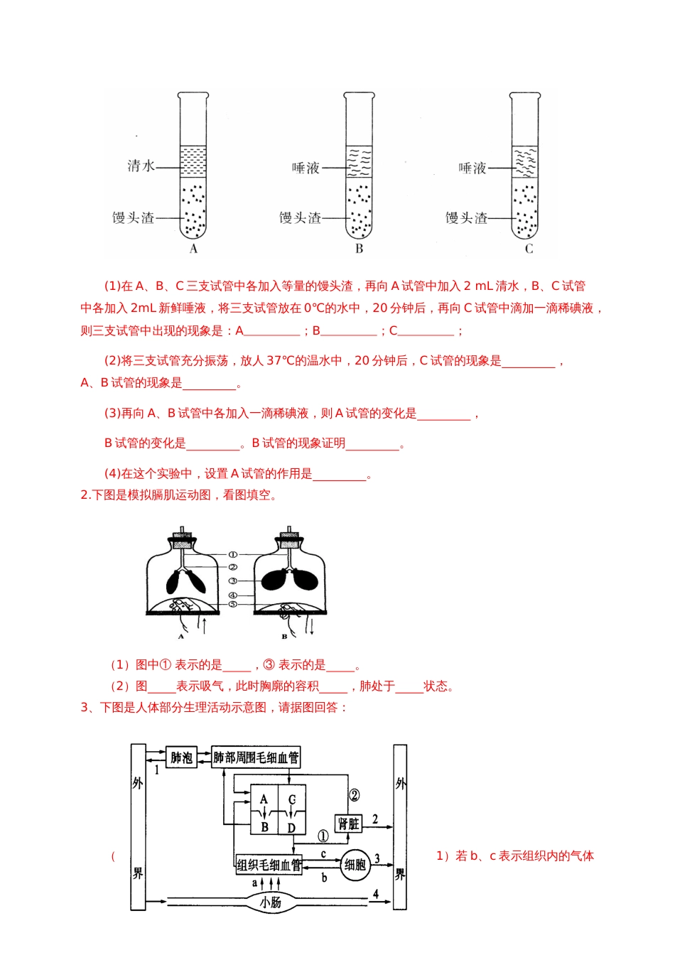 新人教版初中七年级下册生物期末测试试题含答案[共7页]_第3页