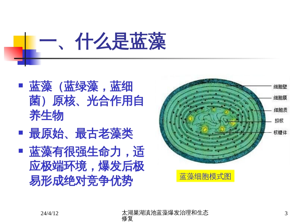 太湖巢湖滇池蓝藻爆发治理和生态修复[共65页]_第3页