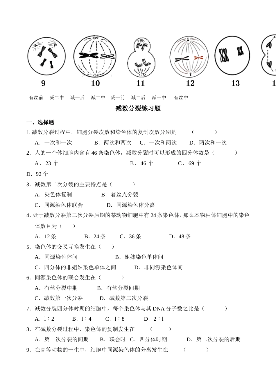 减数分裂知识点归纳及试题[6页]_第3页