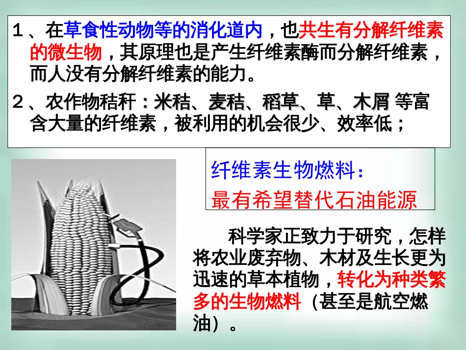 分解纤维素的微生物的分离[32页]_第2页