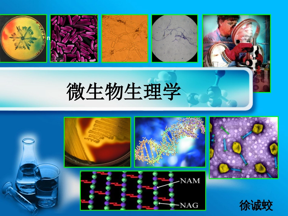 微生物生理学2016_第1页