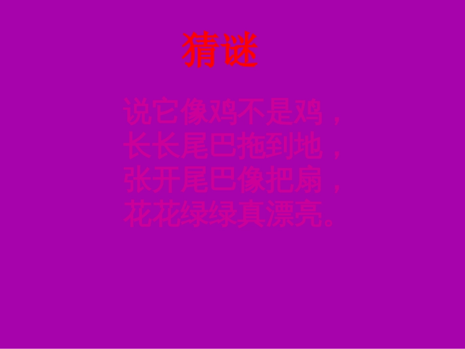 二年级人教版美术《美丽的孔雀》课件_第1页
