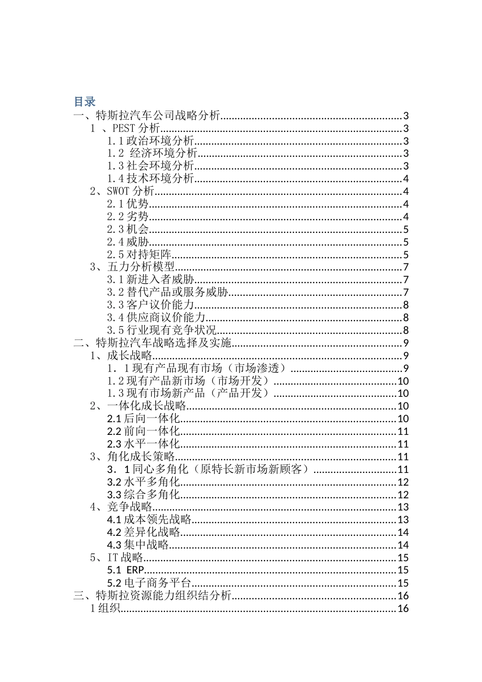 特斯拉汽车公司战略分析[共23页]_第2页