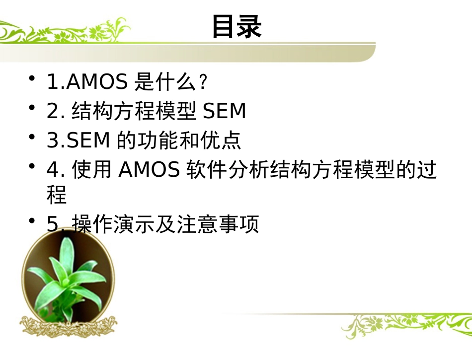 Amos软件介绍[40页]_第2页